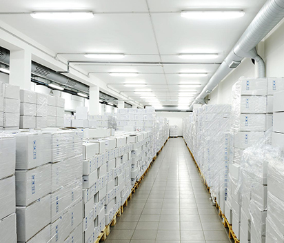 Logistics Cold Storage Challenges and Solutions